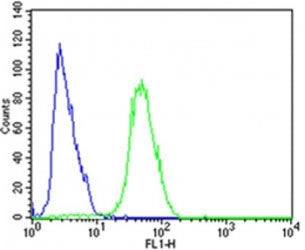 Flow cytometric analysis of SH-SY5Y cells using CDK5 antibody (green) compared to an isotype control (blue); Ab was diluted at 1:25 dilution. An Alexa Fluor 488 goat anti-rabbit lgG was used as the secondary Ab.