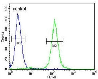 Flow cytometry testing of fixed and permeabilized human HEK293 cells with KMT5C antibody; Blue=isotype control, Green= KMT5C antibody.