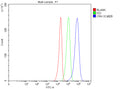 Flow Cytometry analysis of U251 cells using anti-CRH antibody. Overlay histogram showing U251 cells stained with (Blue line). The cells were fixed with 4% paraformaldehyde and blocked with 10% normal goat serum. And then incubated with rabbit anti-CRH antibody (1 ug/million cells) for 30 min at 20oC. DyLight 488 conjugated goat anti-rabbit IgG (5-10 ug/million cells) was used as secondary antibody for 30 min at 20oC.