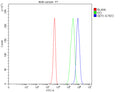 Flow Cytometry analysis of human 293T cells using anti-Senataxin antibody. Overlay histogram showing 293T cells stained with (Blue line). To facilitate intracellular staining, cells were fixed with 4% paraformaldehyde and permeabilized with permeabilization buffer. The cells were blocked with 10% normal goat serum. And then incubated with rabbit anti-Senataxin antibody (1 ug/million cells) for 30 min at 20oC.