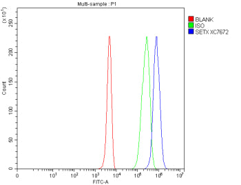 Flow Cytometry analysis of human 293T cells using anti-Senataxin antibody. Overlay histogram showing 293T cells stained with (Blue line). To facilitate intracellular staining, cells were fixed with 4% paraformaldehyde and permeabilized with permeabilization buffer. The cells were blocked with 10% normal goat serum. And then incubated with rabbit anti-Senataxin antibody (1 ug/million cells) for 30 min at 20oC.