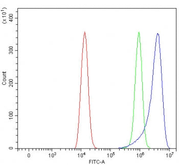 Flow cytometry testing of human HEL cells with PIK3R6 antibody at 1ug/million cells (blocked with goat sera); Red=cells alone, Green=isotype control, Blue= PIK3R6 antibody.