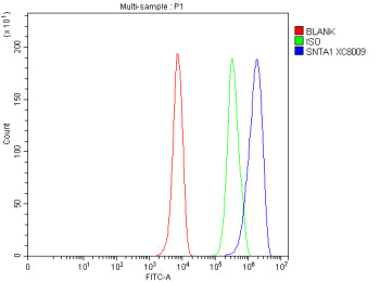 Flow Cytometry analysis of HepG2 cells using anti-SNTA1 antibody. Overlay histogram showing HepG2 cells stained with (Blue line). To facilitate intracellular staining, cells were fixed with 4% paraformaldehyde and permeabilized with permeabilization buffer. The cells were blocked with 10% normal goat serum. And then incubated with rabbit anti-SNTA1 antibody (1 ug/million cells) for 30 min at 20oC.
