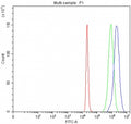 Flow cytometry testing of fixed and permeabilized human 293T cells with INO80B antibody at 1ug/million cells (blocked with goat sera); Red=cells alone, Green=isotype control, Blue= INO80B antibody.