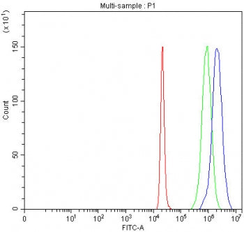 Flow cytometry testing of fixed and permeabilized human 293T cells with INO80B antibody at 1ug/million cells (blocked with goat sera); Red=cells alone, Green=isotype control, Blue= INO80B antibody.