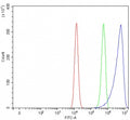 Flow cytometry testing of fixed and permeabilized human HEL cells with SEPN1 antibody at 1ug/million cells (blocked with goat sera); Red=cells alone, Green=isotype control, Blue= SEPN1 antibody.