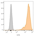 Flow cytometry testing of lymphocyte-gated human PBM cells with CD45 antibody (clone 2B11, orange), and unstained cells (gray).