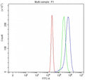 Flow cytometry testing of human U-2 OS cells with Activated CDC42 kinase 1 antibody at 1ug/million cells (blocked with goat sera); Red=cells alone, Green=isotype control, Blue= Activated CDC42 kinase 1 antibody.