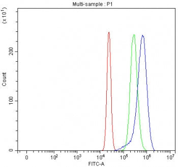 Flow cytometry testing of human U-2 OS cells with Activated CDC42 kinase 1 antibody at 1ug/million cells (blocked with goat sera); Red=cells alone, Green=isotype control, Blue= Activated CDC42 kinase 1 antibody.