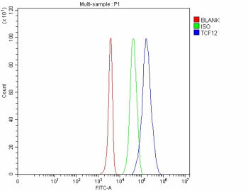 Flow Cytometry analysis of 293T cells using anti-TCF12 antibody. Overlay histogram showing 293T cells stained with (Blue line). To facilitate intracellular staining, cells were fixed with 4% paraformaldehyde and permeabilized with permeabilization buffer. The cells were blocked with 10% normal goat serum. And then incubated with rabbit anti-TCF12 antibody (1 ug/million cells) for 30 min at 20oC.