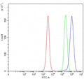Flow cytometry testing of fixed and permeabilized human JK cells with MFSD13A antibody at 1ug/million cells (blocked with goat sera); Red=cells alone, Green=isotype control, Blue= MFSD13A antibody.