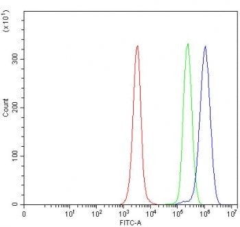 Flow cytometry testing of fixed and permeabilized human JK cells with MFSD13A antibody at 1ug/million cells (blocked with goat sera); Red=cells alone, Green=isotype control, Blue= MFSD13A antibody.