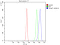 Flow Cytometry analysis of RM-1 cells using anti-Dnmt2 antibody. Overlay histogram showing RM-1 cells stained with (Blue line). To facilitate intracellular staining, cells were fixed with 4% paraformaldehyde and permeabilized with permeabilization buffer. The cells were blocked with 10% normal goat serum. And then incubated with rabbit anti-Dnmt2 antibody (1 ug/million cells) for 30 min at 20oC.