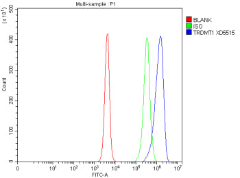 Flow Cytometry analysis of RM-1 cells using anti-Dnmt2 antibody. Overlay histogram showing RM-1 cells stained with (Blue line). To facilitate intracellular staining, cells were fixed with 4% paraformaldehyde and permeabilized with permeabilization buffer. The cells were blocked with 10% normal goat serum. And then incubated with rabbit anti-Dnmt2 antibody (1 ug/million cells) for 30 min at 20oC.