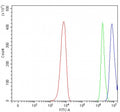 Flow cytometry testing of fixed and permeabilized human PC-3 cells with PAN2 antibody at 1ug/million cells (blocked with goat sera); Red=cells alone, Green=isotype control, Blue= PAN2 antibody.