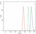 Flow cytometry testing of fixed and permeabilized human U-251 cells with MAEL antibody at 1ug/million cells (blocked with goat sera); Red=cells alone, Green=isotype control, Blue= MAEL antibody.