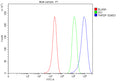 Flow Cytometry analysis of MCF-7 cells using anti-THRSP antibody. Overlay histogram showing MCF-7 cells stained with (Blue line). To facilitate intracellular staining, cells were fixed with 4% paraformaldehyde and permeabilized with permeabilization buffer. The cells were blocked with 10% normal goat serum. And then incubated with rabbit anti-THRSP antibody (1 ug/million cells) for 30 min at 20oC.