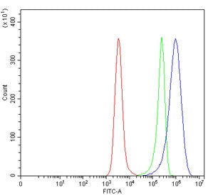 Flow cytometry testing of human Daudi cells with CD10 antibody at 1ug/million cells (blocked with goat sera); Red=cells alone, Green=isotype control, Blue= CD10 antibody.