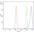 Flow cytometry testing of fixed and permeabilized human HEL cells with PLVAP antibody at 1ug/million cells (blocked with goat sera); Red=cells alone, Green=isotype control, Blue= PLVAP antibody.