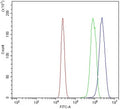 Flow cytometry testing of mouse RAW264.7 cells with Ddit3 antibody at 1ug/million cells (blocked with goat sera); Red=cells alone, Green=isotype control, Blue= Ddit3 antibody.