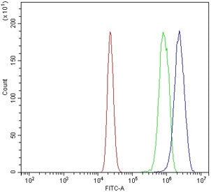 Flow cytometry testing of mouse RAW264.7 cells with Ddit3 antibody at 1ug/million cells (blocked with goat sera); Red=cells alone, Green=isotype control, Blue= Ddit3 antibody.