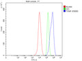 Flow Cytometry analysis of THP-1 cells using anti-TGM5 antibody. Overlay histogram showing THP-1 cells stained with (Blue line). To facilitate intracellular staining, cells were fixed with 4% paraformaldehyde and permeabilized with permeabilization buffer. The cells were blocked with 10% normal goat serum. And then incubated with rabbit anti-TGM5 antibody (1 ug/million cells) for 30 min at 20oC.