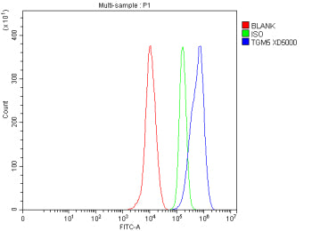 Flow Cytometry analysis of THP-1 cells using anti-TGM5 antibody. Overlay histogram showing THP-1 cells stained with (Blue line). To facilitate intracellular staining, cells were fixed with 4% paraformaldehyde and permeabilized with permeabilization buffer. The cells were blocked with 10% normal goat serum. And then incubated with rabbit anti-TGM5 antibody (1 ug/million cells) for 30 min at 20oC.