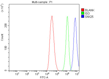 Flow Cytometry analysis of HepG2 cells using anti-SNX25 antibody. Overlay histogram showing HepG2 cells stained with (Blue line). The cells were fixed with 4% paraformaldehyde and blocked with 10% normal goat serum. And then incubated with rabbit anti-SNX25 antibody (1 ug/million cells) for 30 min at 20oC. DyLight 488 conjugated goat anti-rabbit IgG (5-10 ug/million cells) was used as secondary antibody for 30 min at 20oC.