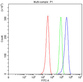 Flow cytometry testing of fixed human HEL cells with ICAM2 antibody at 1ug/million cells (blocked with goat sera); Red=cells alone, Green=isotype control, Blue= ICAM2 antibody.