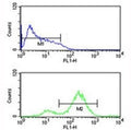 EIF4E antibody flow cytometric analysis of HL-60 cells (bottom histogram) compared to a negative control (top histogram). FITC-conjugated goat-anti-rabbit secondary Ab was used for the analysis.