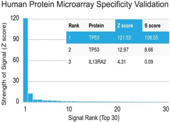 Protein array validation of the p53 antibody: Analysis of HuProt(TM) microarray containing more than 19,000 full-length human proteins using p53 antibody (clone PAb 122).<P><P>Z- and S- score: The Z-score represents the strength of a signal that an antibody (in combination with a fluorescently-tagged anti-IgG secondary Ab) produces when binding to a particular protein on the HuProt(TM) array. Z-scores are described in units of standard deviations (SD's) above the mean value of all signals generated on that
