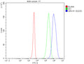Flow Cytometry analysis of 293T cells using anti-QRICH1 antibody. Overlay histogram showing 293T cells stained with (Blue line). To facilitate intracellular staining, cells were fixed with 4% paraformaldehyde and permeabilized with permeabilization buffer. The cells were blocked with 10% normal goat serum. And then incubated with rabbit anti-QRICH1 antibody (1 ug/million cells) for 30 min at 20oC.