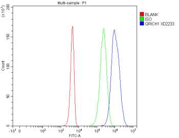 Flow Cytometry analysis of 293T cells using anti-QRICH1 antibody. Overlay histogram showing 293T cells stained with (Blue line). To facilitate intracellular staining, cells were fixed with 4% paraformaldehyde and permeabilized with permeabilization buffer. The cells were blocked with 10% normal goat serum. And then incubated with rabbit anti-QRICH1 antibody (1 ug/million cells) for 30 min at 20oC.