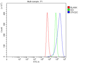 Flow Cytometry analysis of Hela cells using anti-STK32C antibody. Overlay histogram showing Hela cells stained with (Blue line). To facilitate intracellular staining, cells were fixed with 4% paraformaldehyde and permeabilized with permeabilization buffer. The cells were blocked with 10% normal goat serum. And then incubated with rabbit anti-STK32C antibody (1 ug/million cells) for 30 min at 20oC.