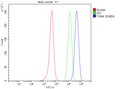 Flow Cytometry analysis of SH-SY5Y cells using anti-TGM4 antibody. Overlay histogram showing SH-SY5Y cells stained with (Blue line). To facilitate intracellular staining, cells were fixed with 4% paraformaldehyde and permeabilized with permeabilization buffer. The cells were blocked with 10% normal goat serum. And then incubated with rabbit anti-TGM4 antibody (1 ug/million cells) for 30 min at 20oC.