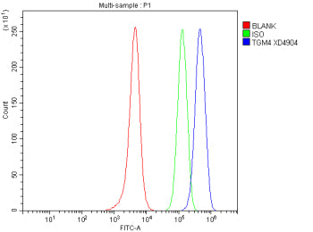 Flow Cytometry analysis of SH-SY5Y cells using anti-TGM4 antibody. Overlay histogram showing SH-SY5Y cells stained with (Blue line). To facilitate intracellular staining, cells were fixed with 4% paraformaldehyde and permeabilized with permeabilization buffer. The cells were blocked with 10% normal goat serum. And then incubated with rabbit anti-TGM4 antibody (1 ug/million cells) for 30 min at 20oC.