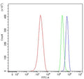 Flow cytometry testing of mouse ANA-1 cells with Glucuronosyltransferase 1A1 antibody at 1ug/million cells (blocked with goat sera); Red=cells alone, Green=isotype control, Blue= Glucuronosyltransferase 1A1 antibody.