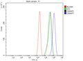 Flow Cytometry analysis of human JK cells using anti-GIMAP1 antibody. Overlay histogram showing JK cells stained with (Blue line). To facilitate intracellular staining, cells were fixed with 4% paraformaldehyde and permeabilized with permeabilization buffer. The cells were blocked with 10% normal goat serum. And then incubated with rabbit anti-GIMAP1 antibody (1 ug/million cells) for 30 min at 20oC.