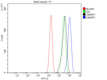 Flow Cytometry analysis of human JK cells using anti-GIMAP1 antibody. Overlay histogram showing JK cells stained with (Blue line). To facilitate intracellular staining, cells were fixed with 4% paraformaldehyde and permeabilized with permeabilization buffer. The cells were blocked with 10% normal goat serum. And then incubated with rabbit anti-GIMAP1 antibody (1 ug/million cells) for 30 min at 20oC.