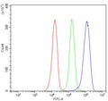 Flow cytometry testing of human JK-1 cells with UBAP2 antibody at 1ug/million cells (blocked with goat sera); Red=cells alone, Green=isotype control, Blue= UBAP2 antibody.