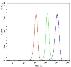 Flow cytometry testing of human JK-1 cells with UBAP2 antibody at 1ug/million cells (blocked with goat sera); Red=cells alone, Green=isotype control, Blue= UBAP2 antibody.