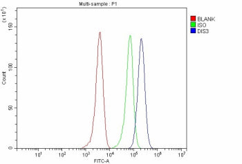 Flow cytometry analysis of fixed and permeabilized human MCF7 cells with DIS3 antibody at 1ug/million cells (blocked with goat sera); Red=cells alone, Green=isotype control, Blue= DIS3 antibody.