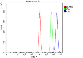 Flow Cytometry analysis of HEL cells using anti-LAT antibody. Overlay histogram showing HEL cells stained with (Blue line). The cells were fixed with 4% paraformaldehyde and blocked with 10% normal goat serum. And then incubated with rabbit anti-LAT antibody (1 ug/million cells) for 30 min at 20oC. DyLight 488 conjugated goat anti-rabbit IgG (5-10 ug/million cells) was used as secondary antibody for 30 min at 20oC.
