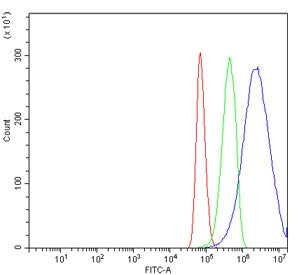 Flow cytometry testing of human U-87 MG cells with NRP1 antibody at 1ug/million cells (blocked with goat sera); Red=cells alone, Green=isotype control, Blue= NRP1 antibody.
