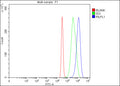 Flow Cytometry analysis of 293T cells using anti-RILPL1 antibody. Overlay histogram showing 293T cells stained with (Blue line). To facilitate intracellular staining, cells were fixed with 4% paraformaldehyde and permeabilized with permeabilization buffer. The cells were blocked with 10% normal goat serum. And then incubated with rabbit anti-RILPL1 antibody (1 ug/million cells) for 30 min at 20oC.