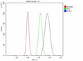 Flow Cytometry analysis of cells using anti-DVL2 antibody. Overlay histogram showing cells stained with (Blue line). To facilitate intracellular staining, cells were fixed with 4% paraformaldehyde and permeabilized with permeabilization buffer. The cells were blocked with 10% normal goat serum. And then incubated with rabbit anti-DVL2 antibody (1 ug/million cells) for 30 min at 20oC. DyLight 488 conjugated goat anti-rabbit IgG (5-10 ug/million cells) was used as secondary antibody for 30 min at 20oC.