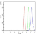 Flow cytometry testing of human MCF7 cells with Triadin antibody at 1ug/million cells (blocked with goat sera); Red=cells alone, Green=isotype control, Blue= Triadin antibody.
