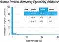 Analysis of HuProt(TM) microarray containing more than 19,000 full-length human proteins using BRCA-1 antibody (clone BRCA1/2973). These results demonstrate the foremost specificity of the BRCA1/2973 mAb. Z- and S- Score: The Z-score represents the strength of a signal that a monoclonal antibody (clone MAb) (in combination with a fluorescently-tagged anti-IgG secondary antibody) produces when binding to a particular protein on the HuProt(TM) array.