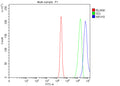 Flow Cytometry analysis of RT4 cells using anti-NR1H3 antibody. Overlay histogram showing RT4 cells stained with (Blue line). To facilitate intracellular staining, cells were fixed with 4% paraformaldehyde and permeabilized with permeabilization buffer. The cells were blocked with 10% normal goat serum. And then incubated with rabbit anti-NR1H3 antibody (1 ug/million cells) for 30 min at 20oC.
