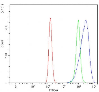 Flow cytometry testing of human HEL cells with ROM1 antibody at 1ug/million cells (blocked with goat sera); Red=cells alone, Green=isotype control, Blue= ROM1 antibody.